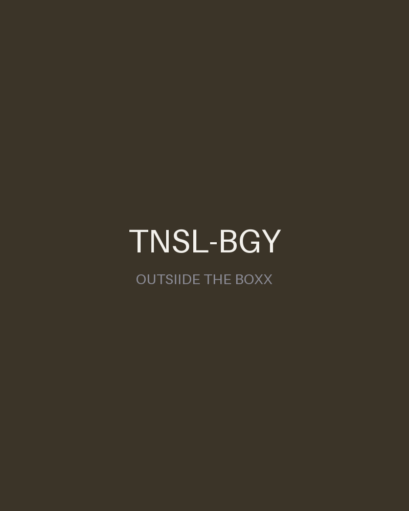 Tnsl baggy pants